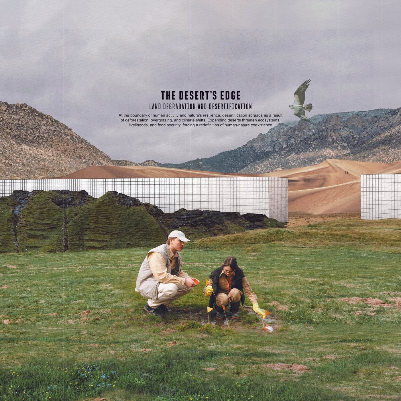 The Desert's Edge — two researchers flag a wet patch of grassland while mirrored walls hold back the dunes behind