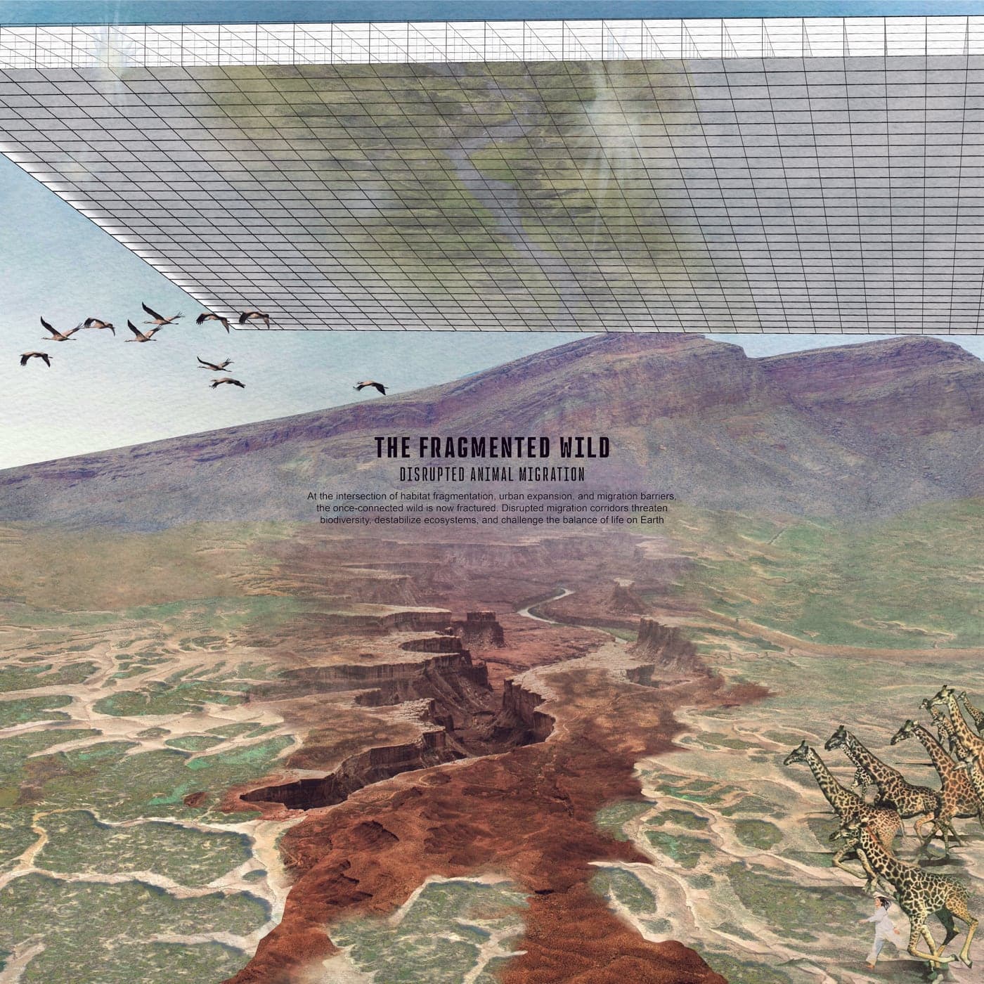 The Fragmented Wild — a gridded plane hovers over a canyon as cranes and giraffes migrate through fractured terrain